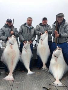 choosing the right lure for halibut fishing