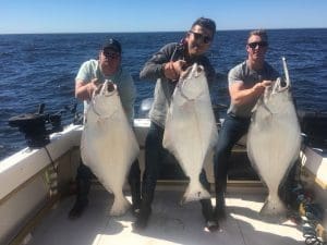 Cracking the Code: Halibut Feeding Patterns in Barkley Sound Unveiled